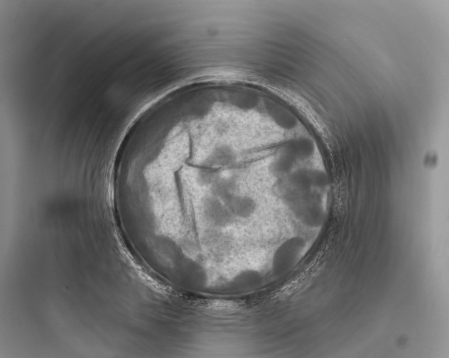 X0000097590839200803211634