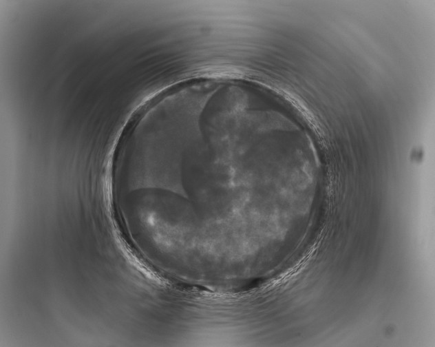 X0000097590840200803211634