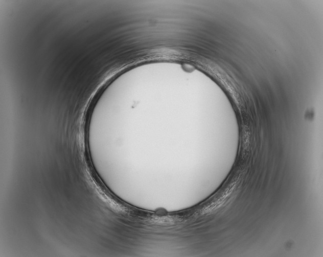 X0000097590843200803211634