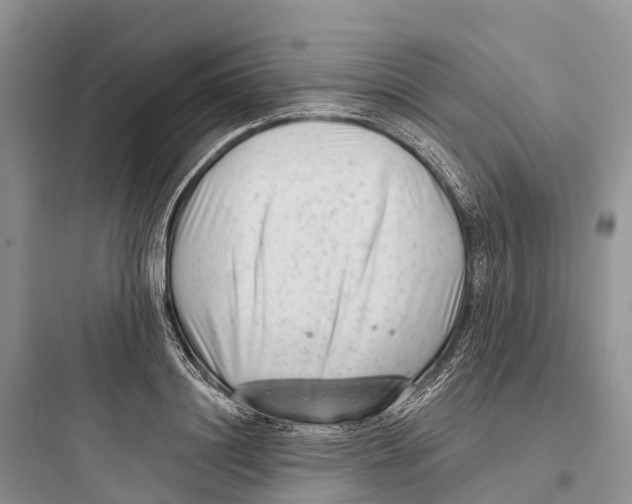 X0000097590844200803211634