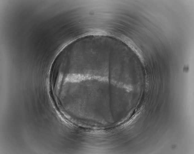 X0000097590845200803211634