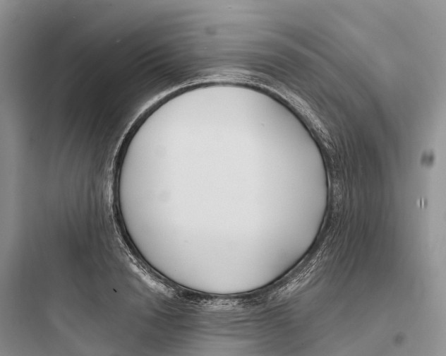 X0000097590846200803211634