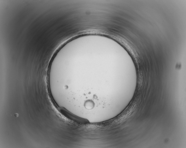 X0000097590847200803211634