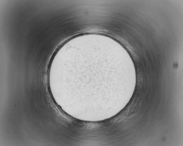 X0000097590848200803211634