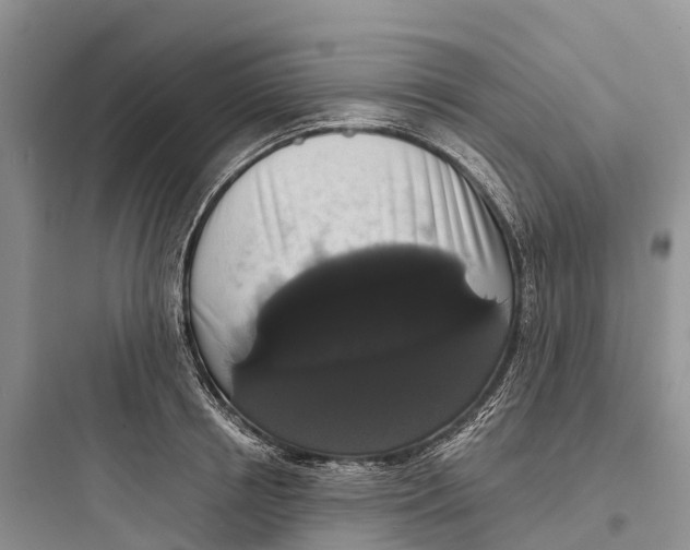 X0000097590850200803211634