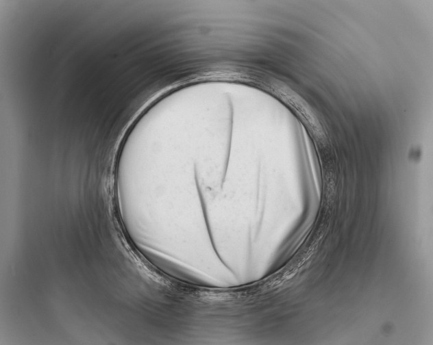 X0000097590852200803211634