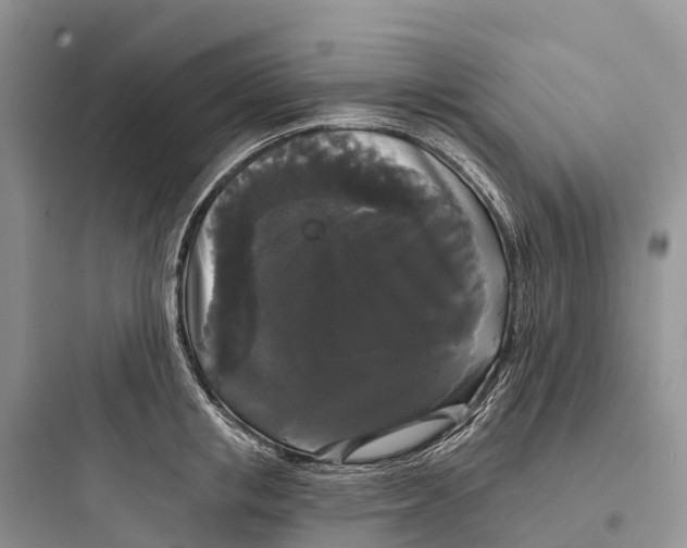 X0000097590853200803211635