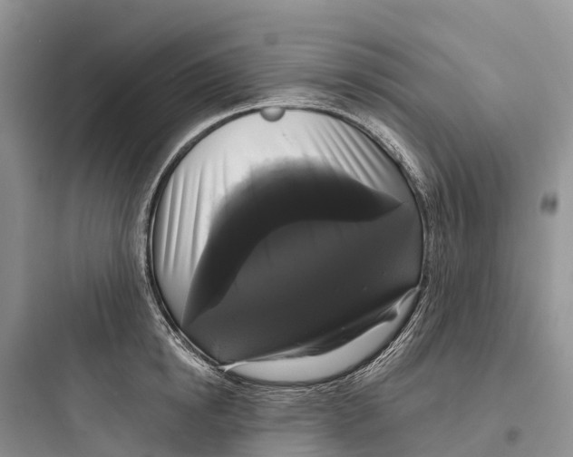 X0000097590854200803211635