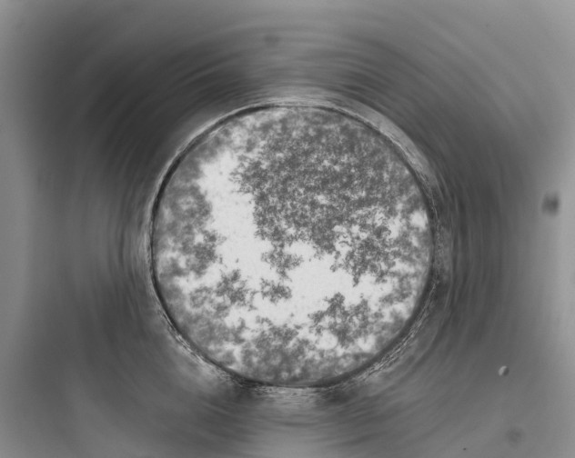 X0000097590856200803211635