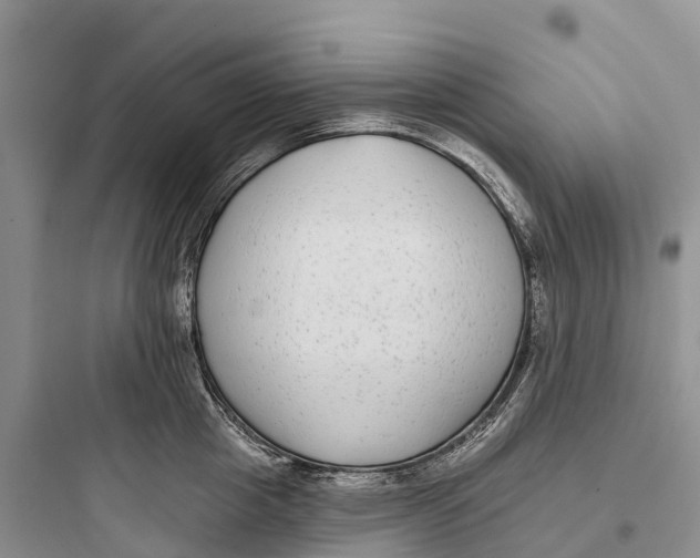 X0000097590857200803211635