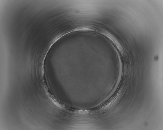 X0000097590858200803211635