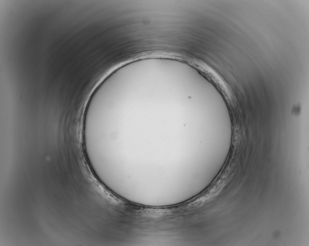 X0000097590860200803211635