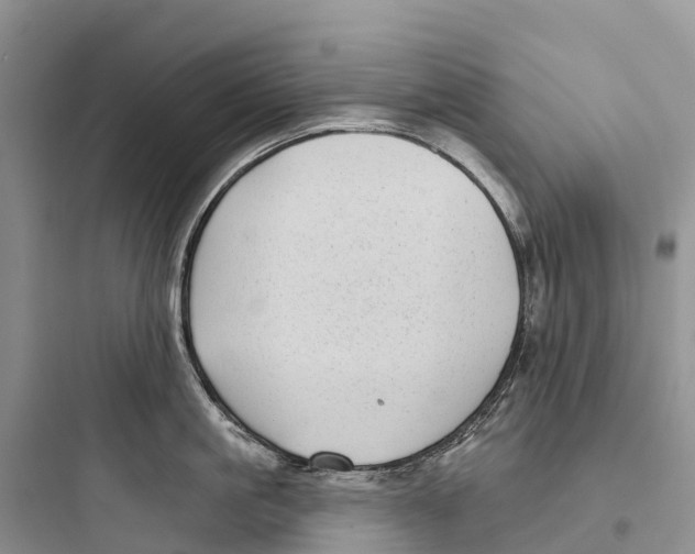 X0000097590861200803211635