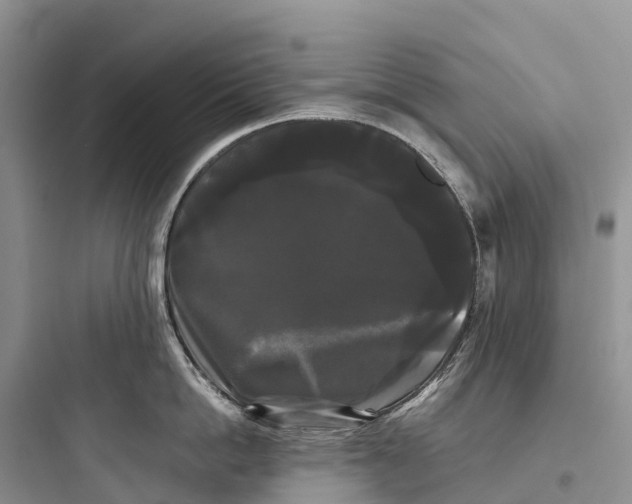 X0000097590862200803211635