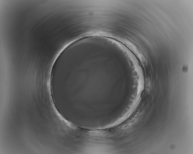 X0000097590863200803211635