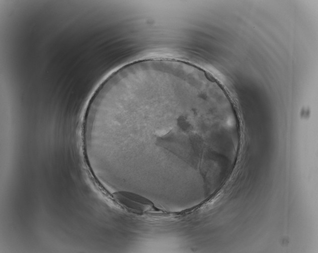 X0000097590864200803211635