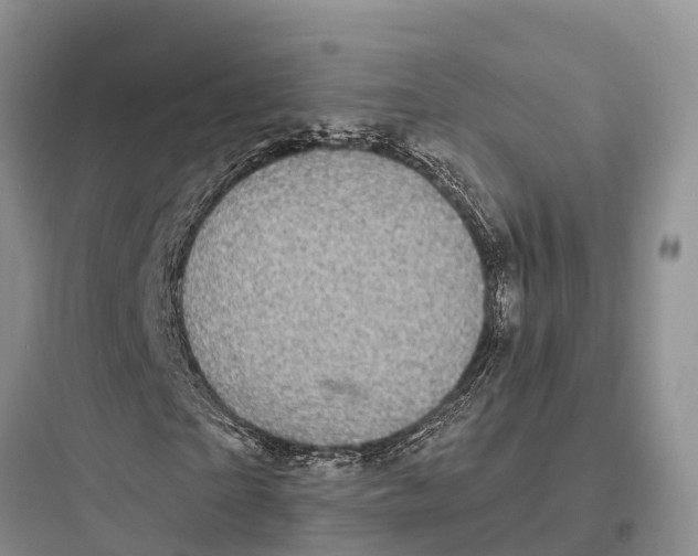 X0000097590865200803211634