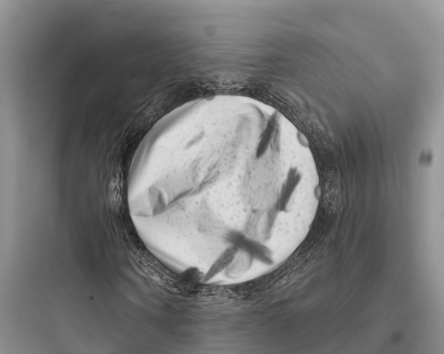 X0000097590866200803211634