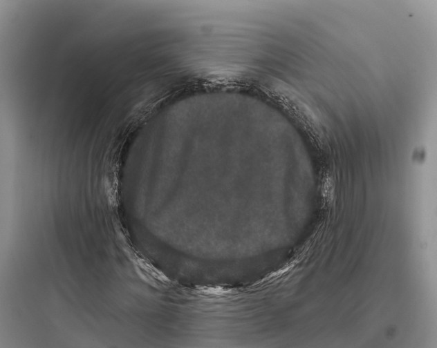 X0000097590868200803211634