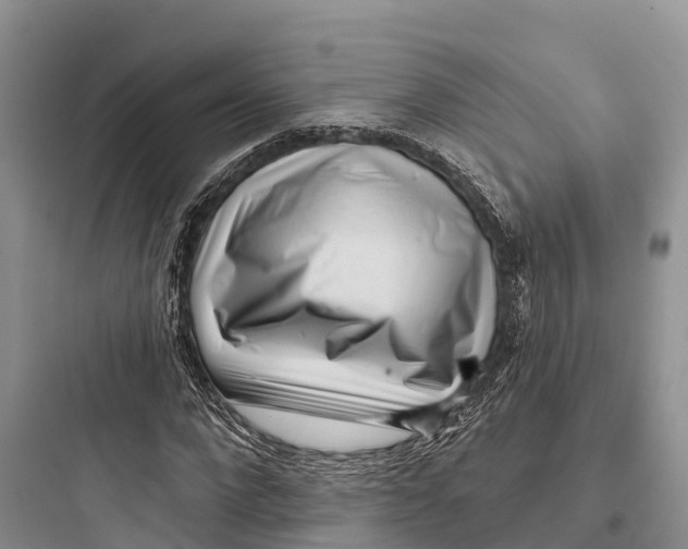 X0000097590872200803211634