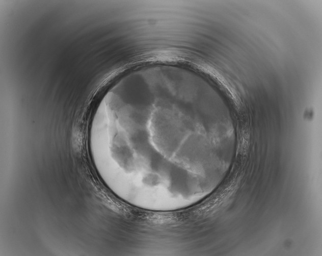 X0000097590874200803211634