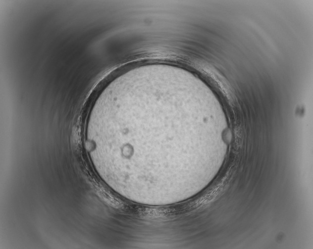 X0000097590875200803211634