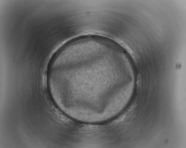 X0000097590877200803211634