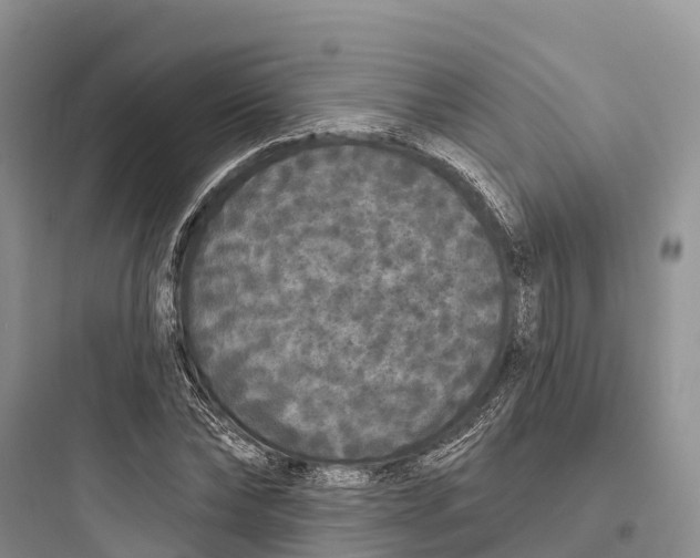 X0000097590878200803211634