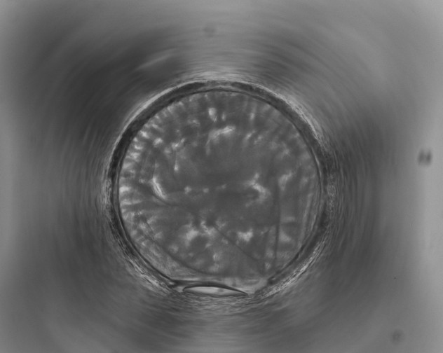 X0000097590879200803211634