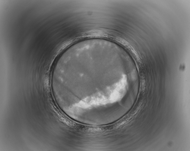 X0000097590882200803211634