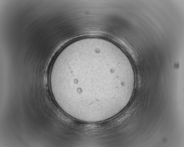 X0000097590883200803211634