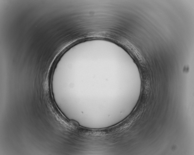 X0000097590884200803211634