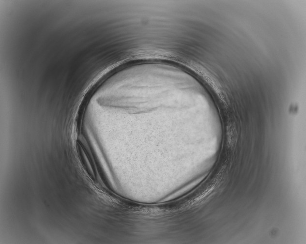 X0000097590885200803211634