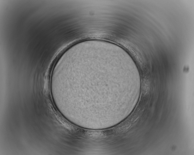 X0000097590886200803211634