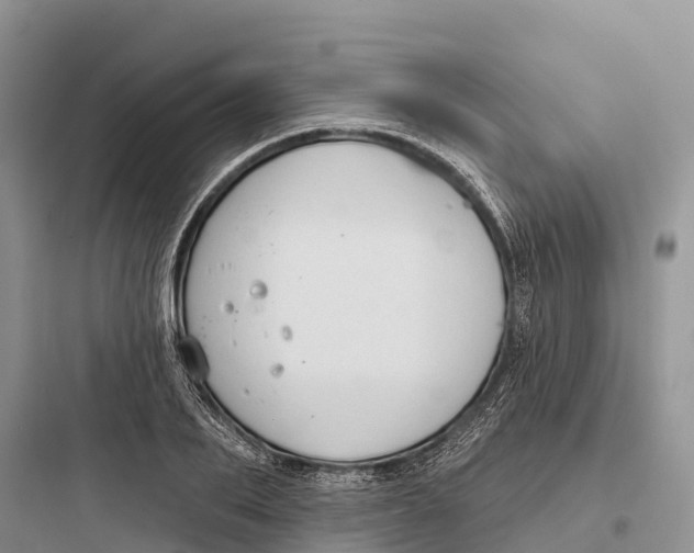 X0000097590887200803211634