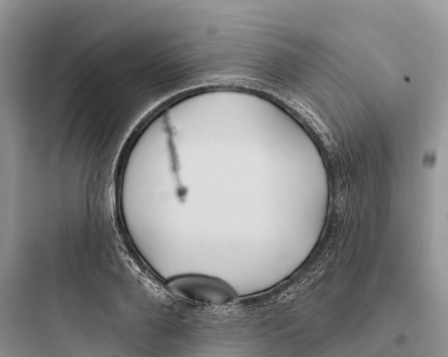 X0000097590888200803211634