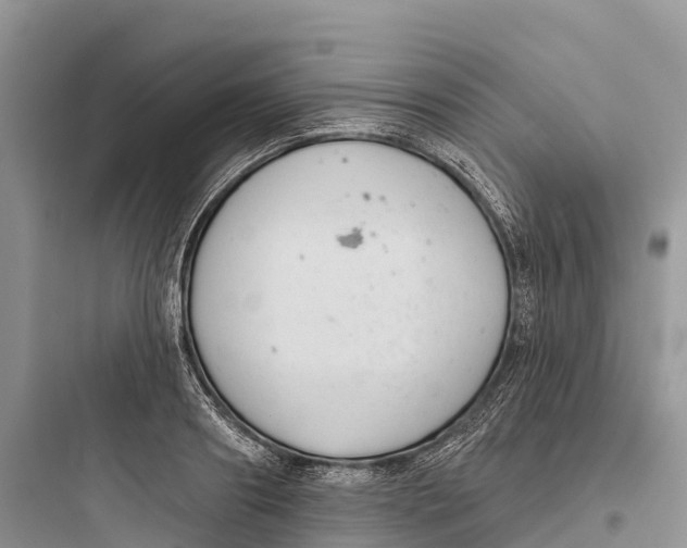 X0000097590890200803211634