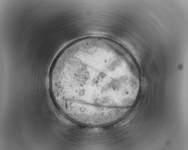 X0000097590891200803211634