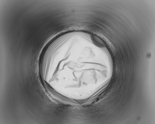 X0000097590894200803211634