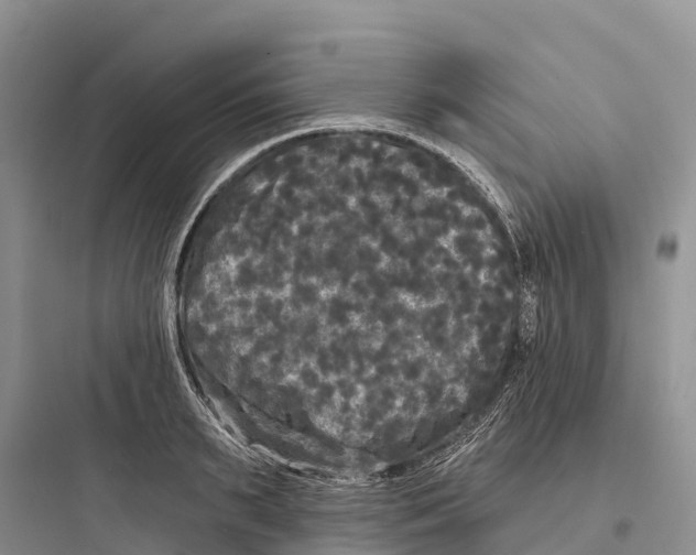 X0000097590895200803211634