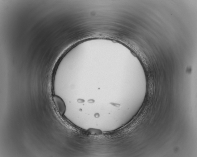 X0000097590896200803211633