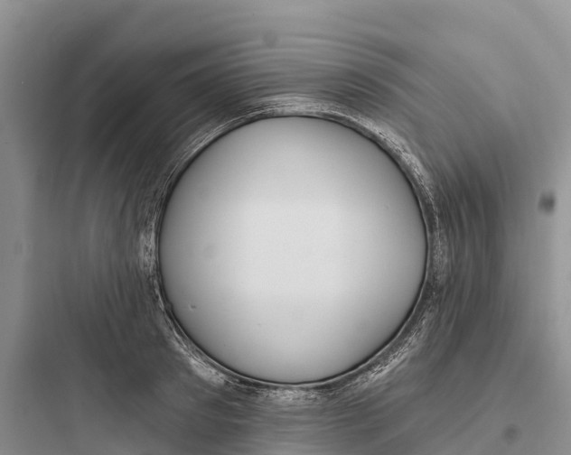 X0000097590897200803211633