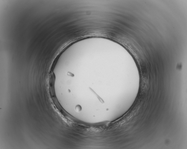 X0000097590898200803211633