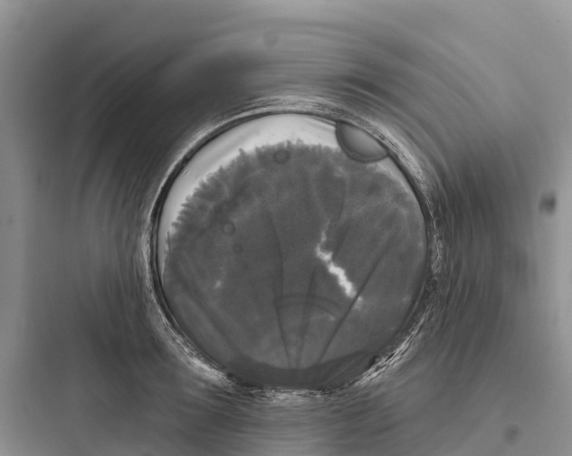 X0000097590899200803211633