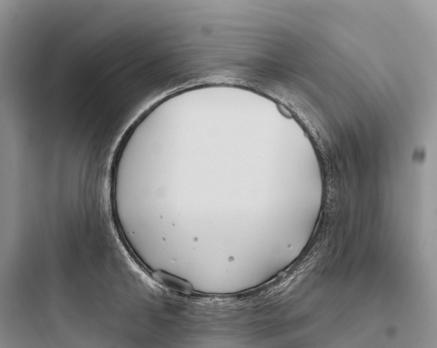 X0000097590902200803211633