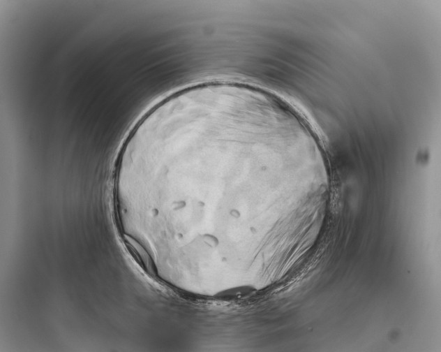 X0000097590903200803211633