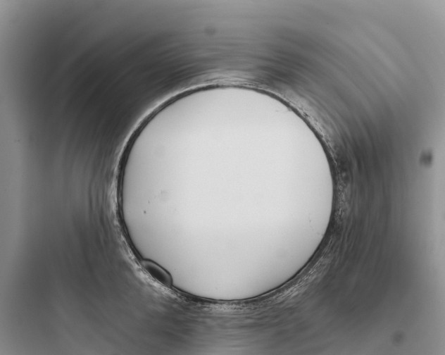 X0000097590904200803211633