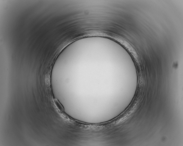 X0000097590905200803211633