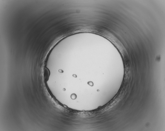 X0000097590906200803211633