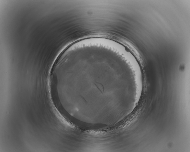 X0000097590907200803211633